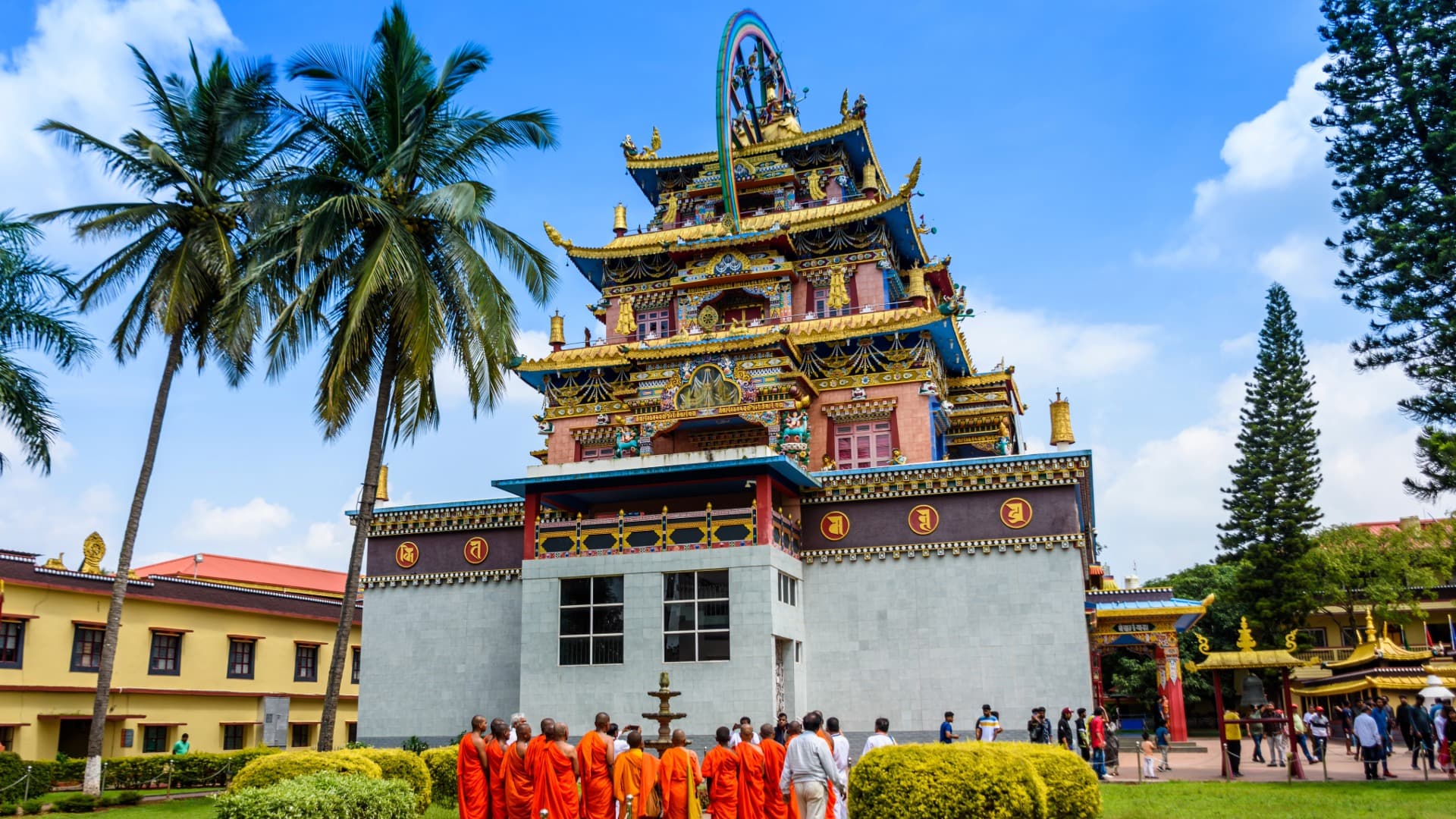 Coorg Coffee Plantation