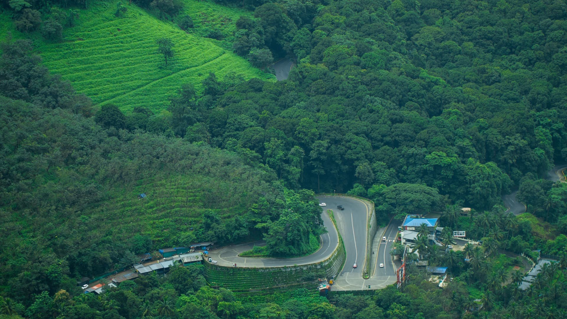 Wayanad Hills